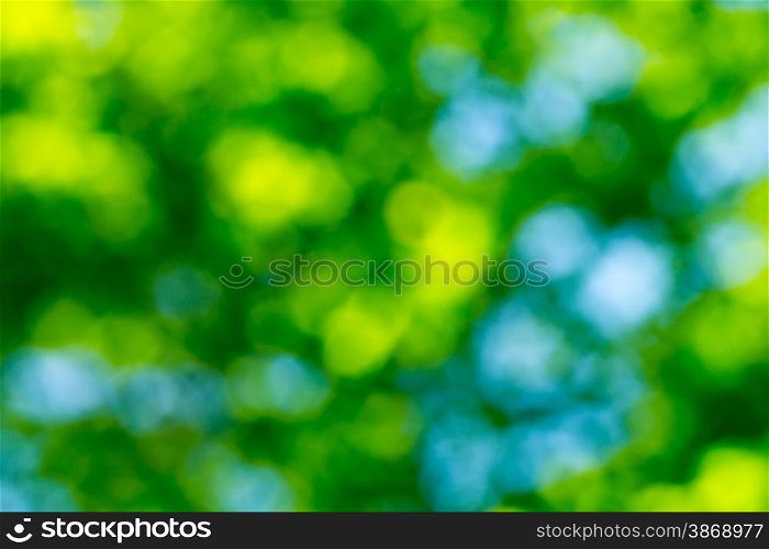 Green natural background of out of focus forest or bokeh