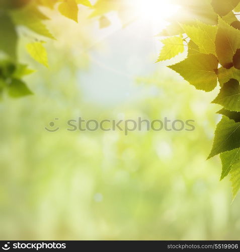 Green Nature, abstract environmental backgrounds for your design