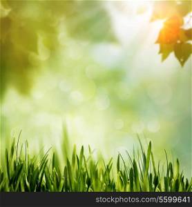 Green Nature, abstract environmental backgrounds for your design