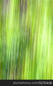 green nature background fast line