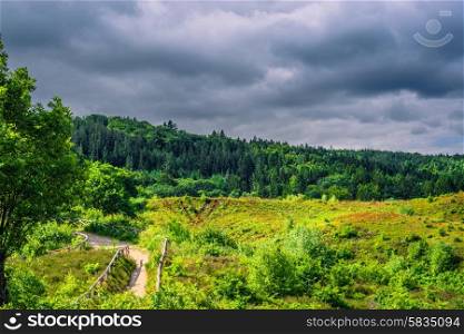 Green nature in Denmark with dark clouds in the summer