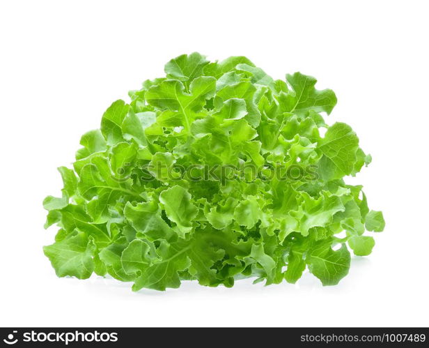 Green oak lettuce isolated on white background.