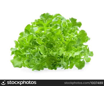 Green oak lettuce isolated on white background.