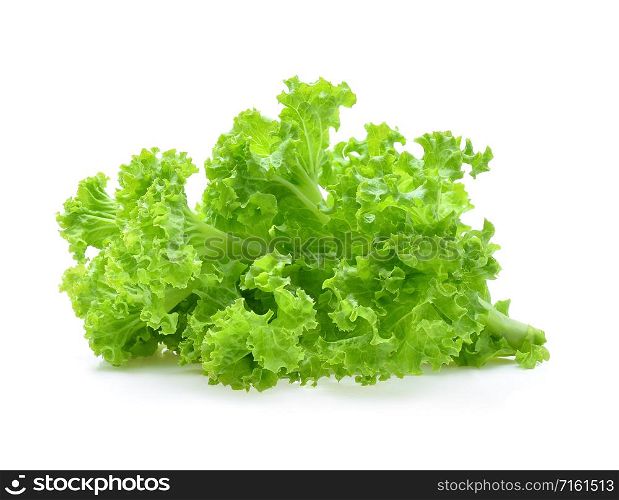 Green oak lettuce isolated on white background.