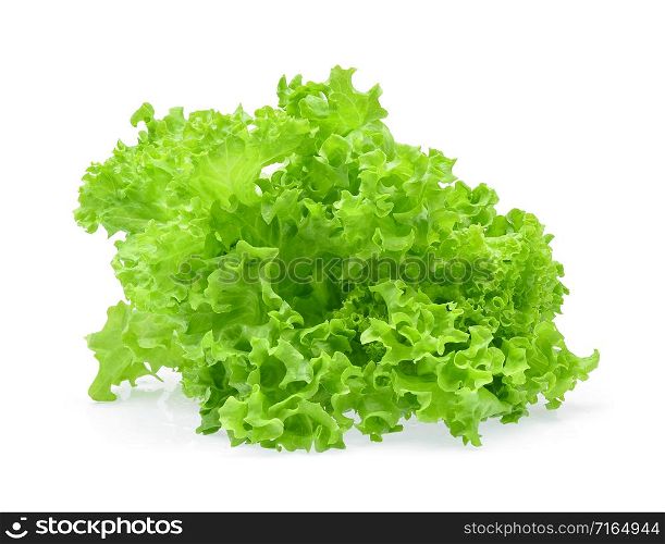 Green oak lettuce isolated on white background.