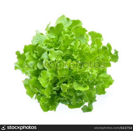 Green oak lettuce isolated on white background.