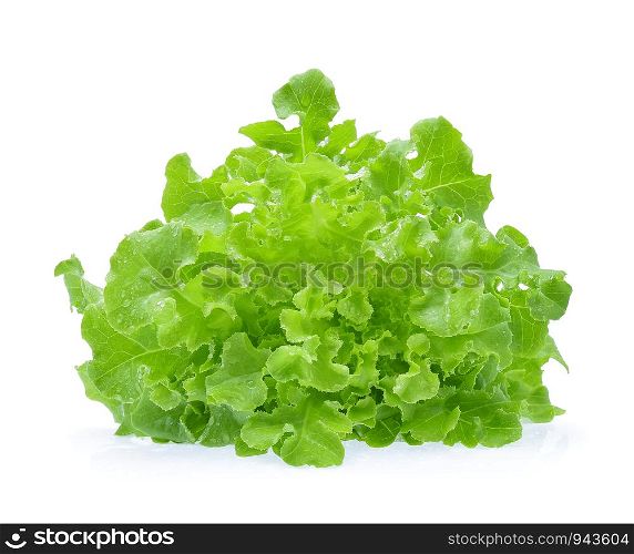 Green oak lettuce with water drops isolated on white background.