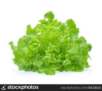 Green oak lettuce with water drops isolated on white background.