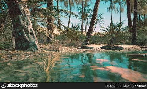 Green oasis with pond in Sahara desert