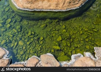 green on stone of hot spring pond closeup