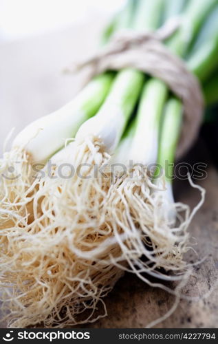 Green Onion close up shoot