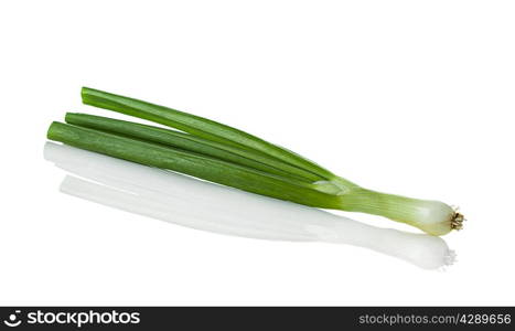 green onion isolated on white background