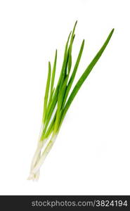 Green Onion on white background