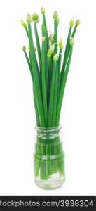 Green onions in a glass jar with water