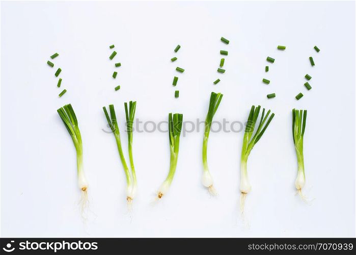 Green onions isolated on white background