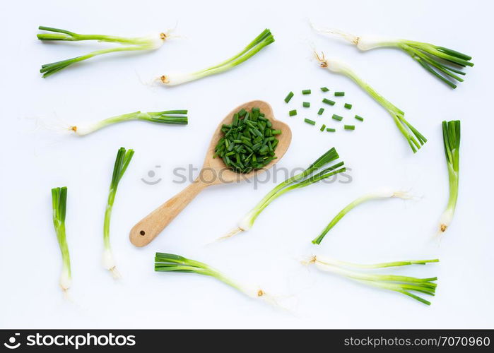 Green onions isolated on white background