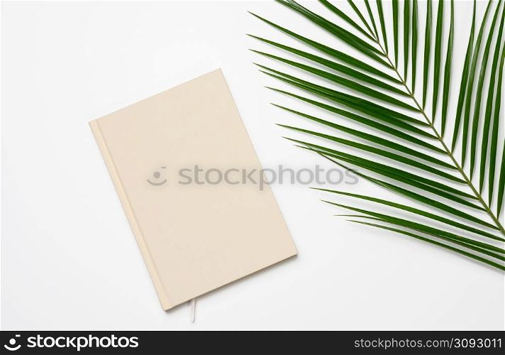 green palm leaf and notepad on white background, top view