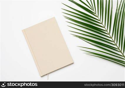 green palm leaf and notepad on white background, top view