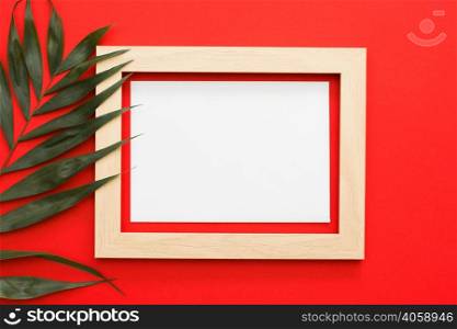 green palm leaves branch with wooden frame red backdrop