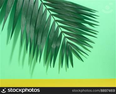 Green palm leaves with shadow on a green background. Copy space
