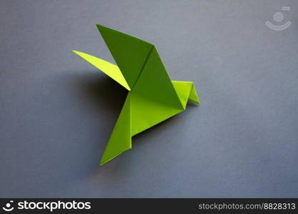 Green paper dove origami isolated on a blank grey background.. Green paper dove origami isolated on a grey background