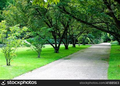green park alley in Regent&rsquo;s park London
