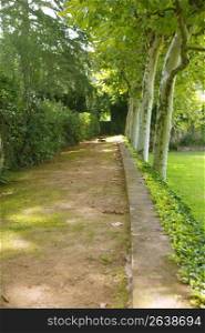 Green park corridor with trees and meadow