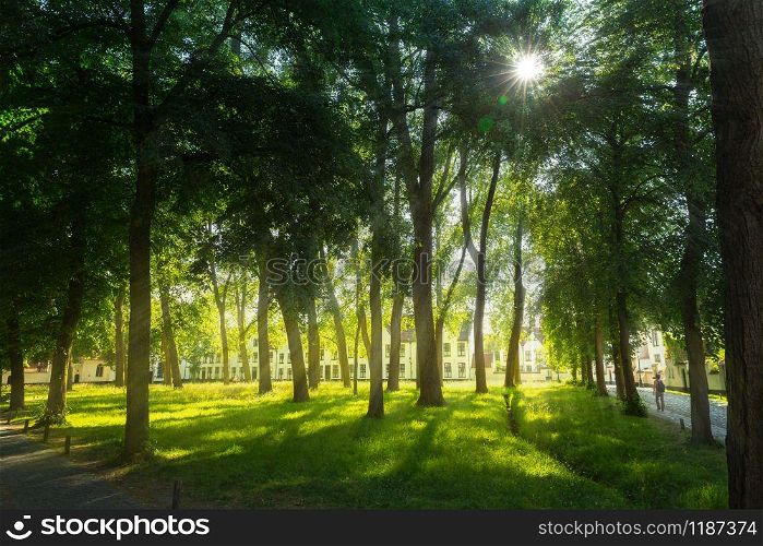 Green park in old European town at summer day. Summer tourism and travels, famous europe landmark, popular places for tourists