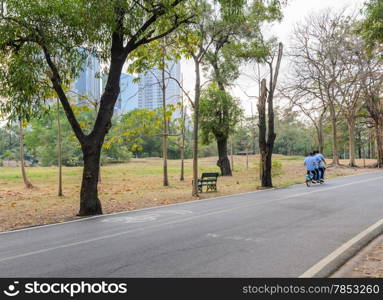 Green park in the city