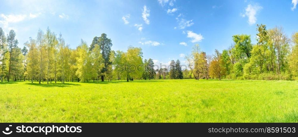 Green park panorama with green trees and green grass on green field