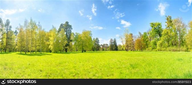 Green park panorama with green trees and green grass on green field