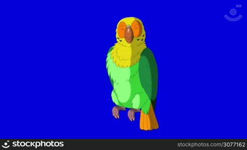 Green Parrot Greets. Animal on Blue Screen. Looped motion graphic.