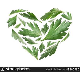 Green parsley leaves in the shape of a heart on a white background.. Green parsley leaves in the shape of a heart on a white background