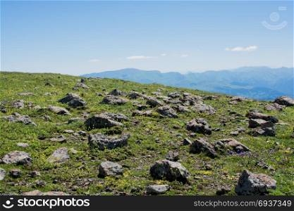 Green pasture in mountains during summer as nature background