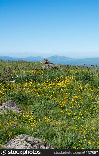 Green pasture in mountains during summer as nature background