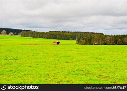 Green Pasture in the Ardennes, Belgium
