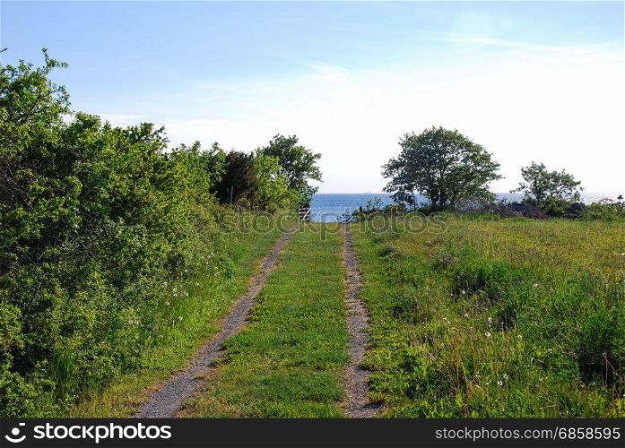 Green pathway through a wooden gate by the coast of the swedish island Oland
