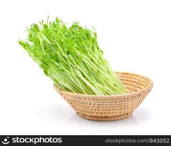 green pea sprouts in basket on white background