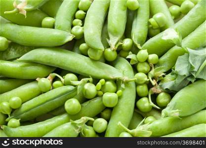 Green peas in the pod up close. Picture food ingredients