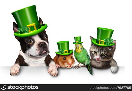 Green Pet sign with a fun cat happy dog cute hamster and budgie wearing a spring shamrock hats with clover hanging on a horizontal white placard with copy space.