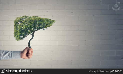 Green planet. Close up of hand holding green tree concept