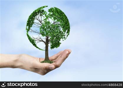 Green planet. Close up of hand holding green tree concept