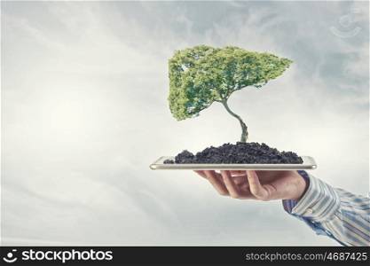 Green planet concept. Human hand holding tablet pc with green tree on it