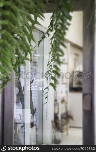 Green plant decorated on shop door, stock photo