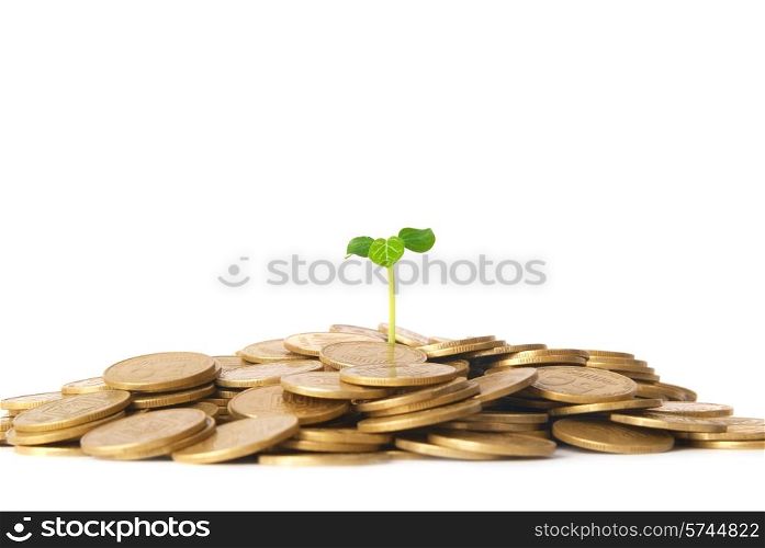 Green plant growing from the coins. Money financial concept.