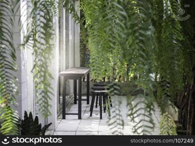 Green plant indoor home garden, stock photo