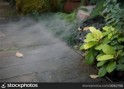 green plant leaves and dry ice smoke decorating in botany garden park
