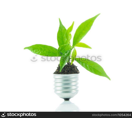 Green plant new life on lamp out of a bulb, green energy concept on over white background