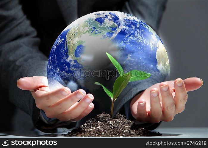 green plant on earth