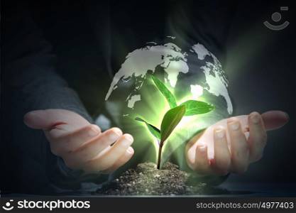 green plant on earth. hands, the young sprout and our planet Earth